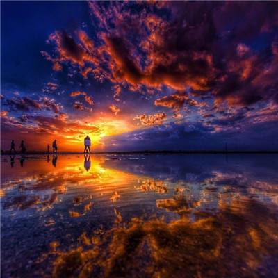 ayx在线登录入口下载手机版截图